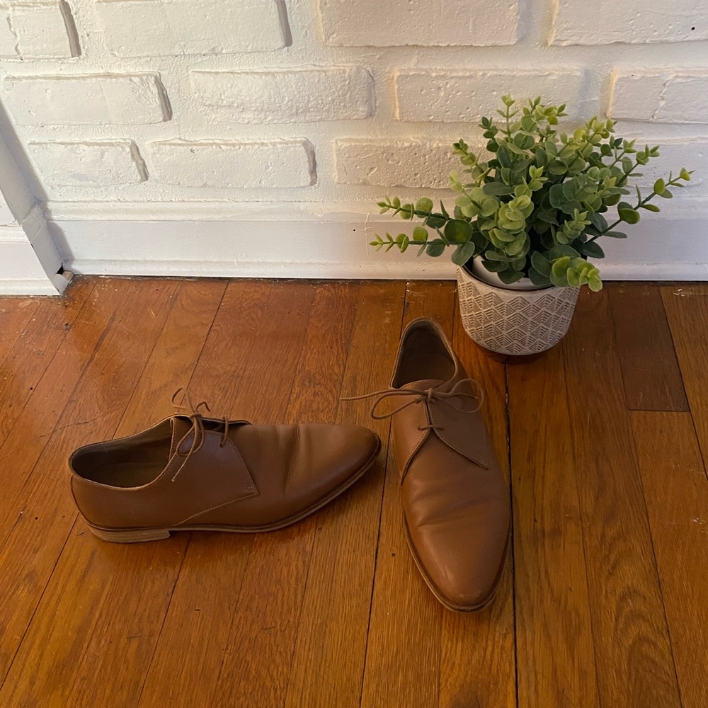 Everlane Modern Oxford